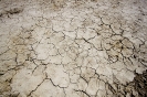 PETROLIGION_18