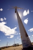 PETROLIGION_22