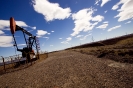 PETROLIGION_29