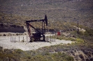 PETROLIGION_30