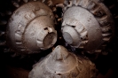 PETROLIGION_4