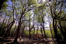 USHUAIA_6