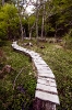 AT THE END OF THE WORLD_10