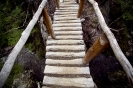 AT THE END OF THE WORLD_11