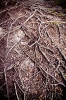 AT THE END OF THE WORLD_12