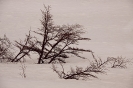 AT THE END OF THE WORLD_8