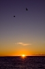 SUNRISE OVER SEA_3