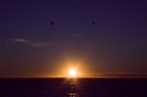 SUNRISE OVER SEA_7
