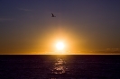 SUNRISE OVER SEA_8