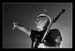 mike mccready_q02