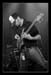 bass_h04