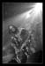 bass_h06