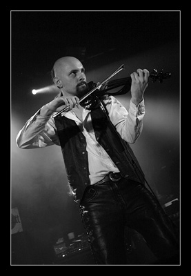 violin_h01