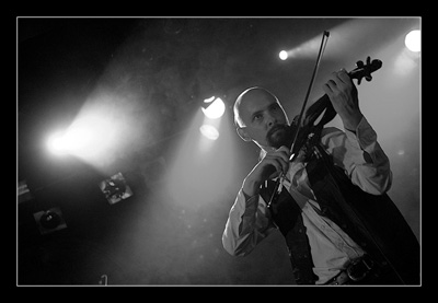 violin_q01