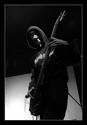 LADYBIRD_bass_h01