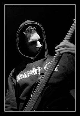 LADYBIRD_bass_h02
