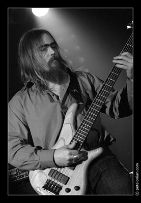 ZZ_bass_h01