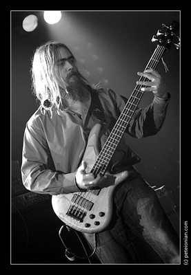 ZZ_bass_h02