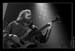 ZZ_bass_q02
